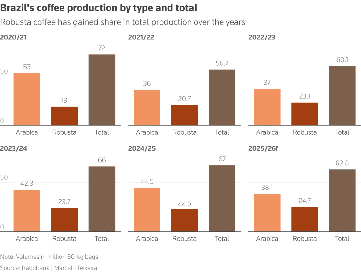 cà phê robusta brazil